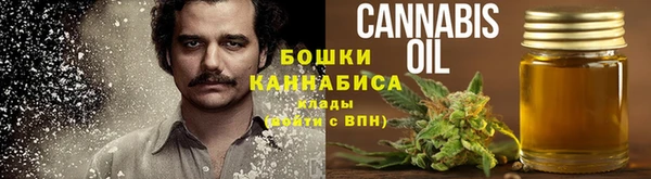 индика Сатка