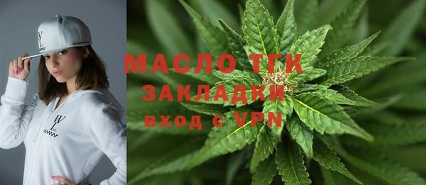 индика Сатка