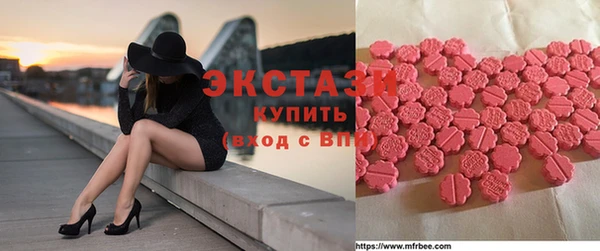 индика Сатка