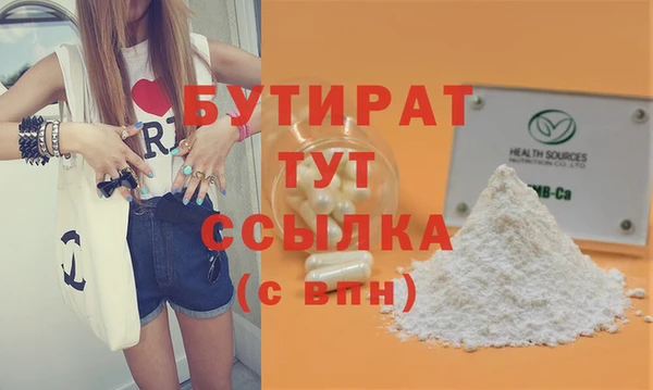 индика Сатка
