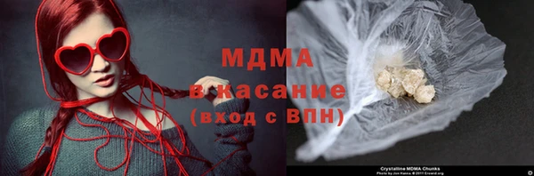 индика Сатка
