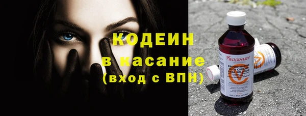 индика Сатка