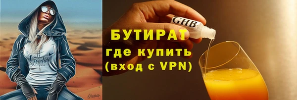 индика Сатка