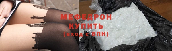 индика Сатка