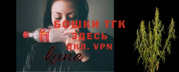индика Сатка