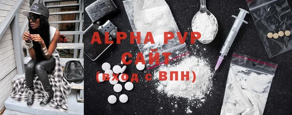 индика Сатка