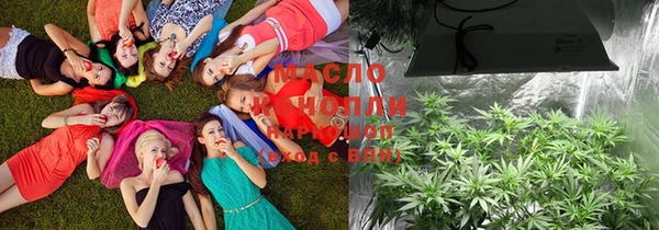 индика Сатка
