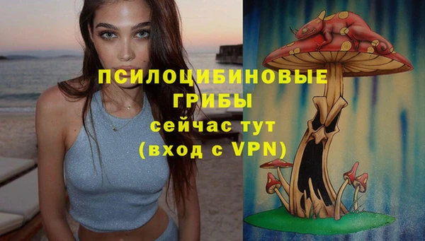 индика Сатка