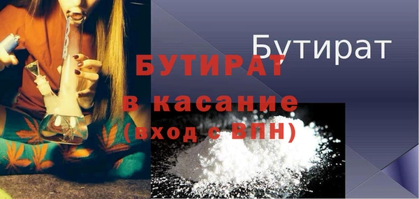 индика Сатка