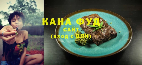 индика Сатка