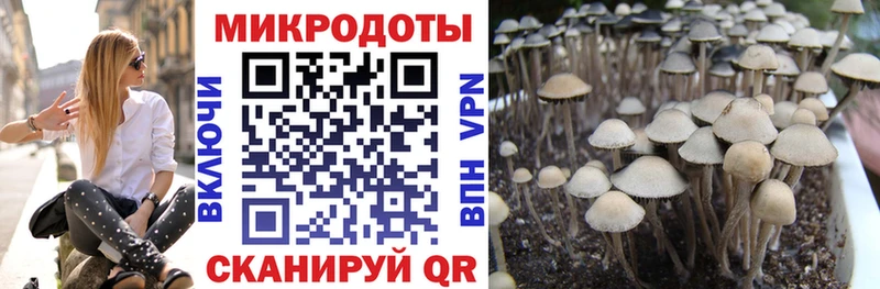 Галлюциногенные грибы MAGIC MUSHROOMS  Абаза 